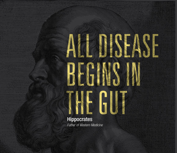hippocrates