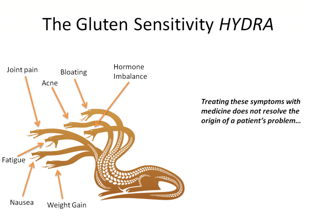 Gluten-Sensitivity-Hydra-Pic-1024x713.png